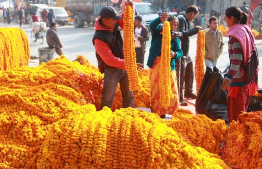 तिहारमा १५ करोड २० लाख रुपैयाँको माला बिक्री   